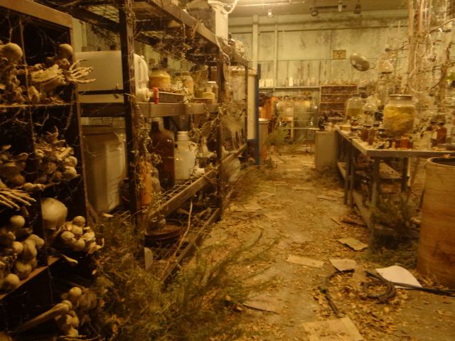 sites/setdecorators/TEEN%20WOLF/LABhero2.JPG